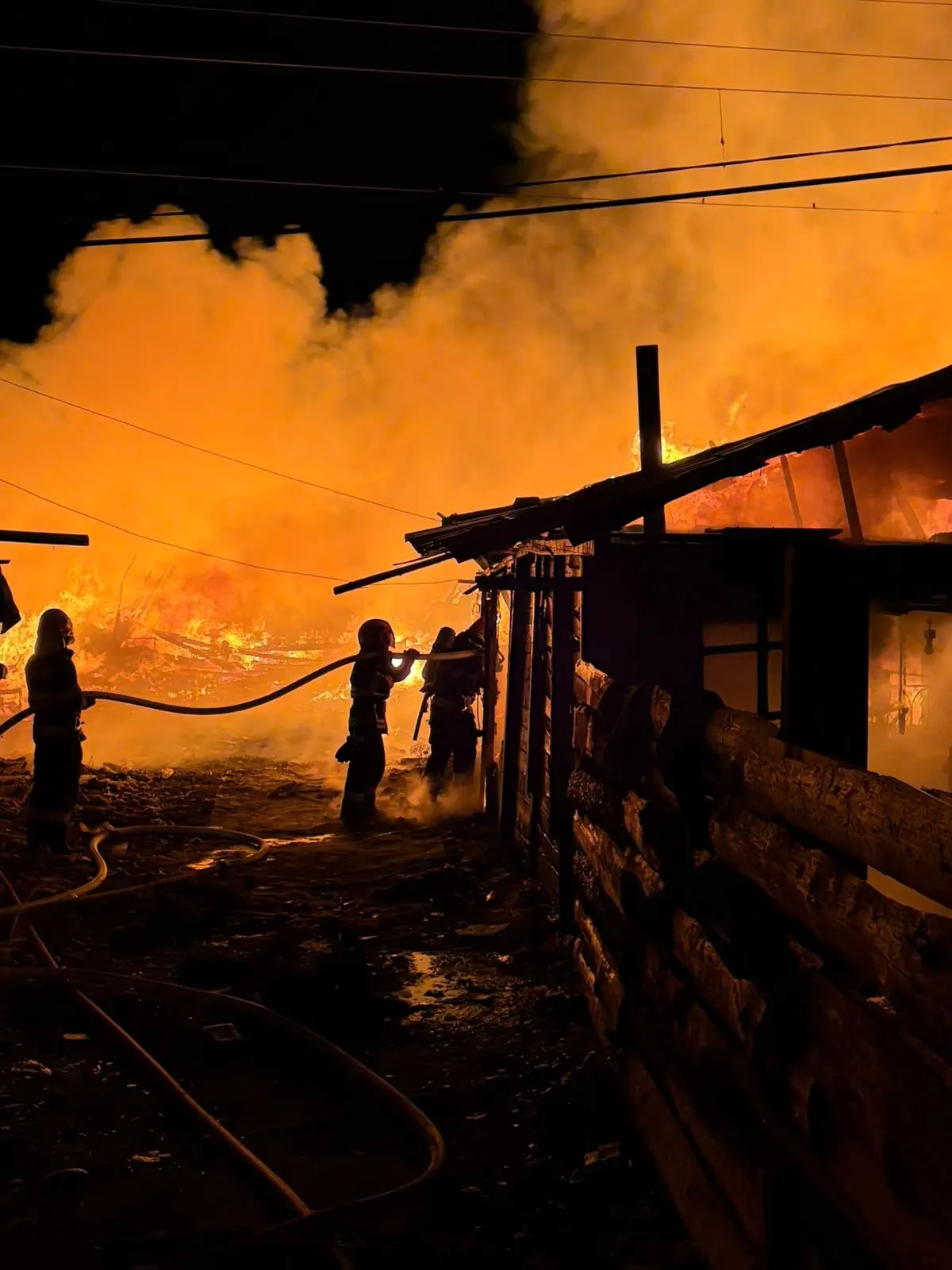 Baia Mare, Craica: foc pe Păltinișului, un hectar, cauză intenționată